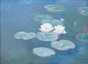 Waterlelies, Avond